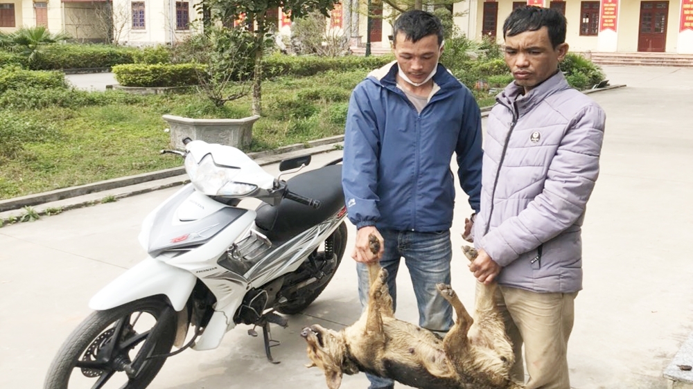 Bắc Giang: Tóm gọn 2 tên "cẩu tặc"
