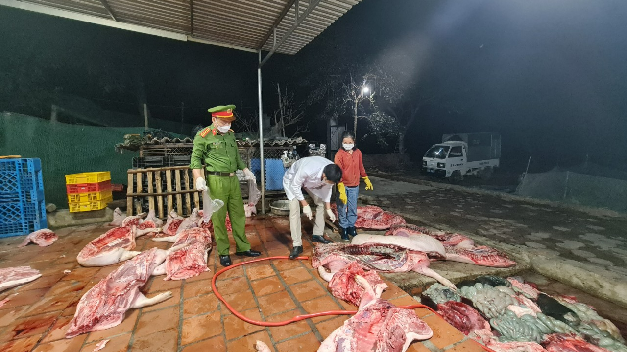 Bắc Giang: Phát hiện cơ sở giết mổ hơn 1 tấn lợn đã chết