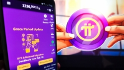 canh bao bay lua dao khi dau tu tien vao tien ao pi network