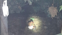 bac giang mot nguoi bi bong canh tram bien ap