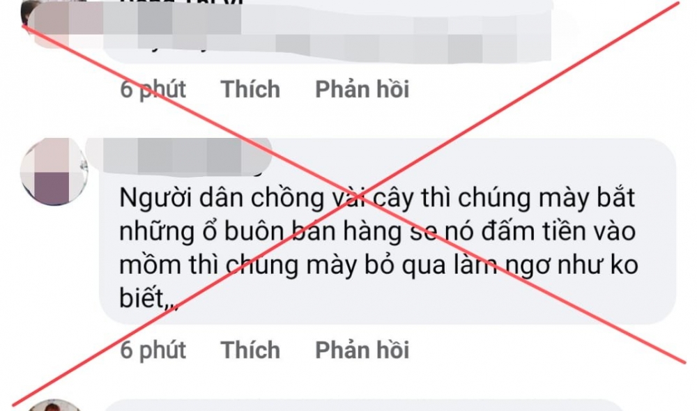 Nội dung đối tượng bình luận trên trang Fanpage của Công an huyện Sơn Động