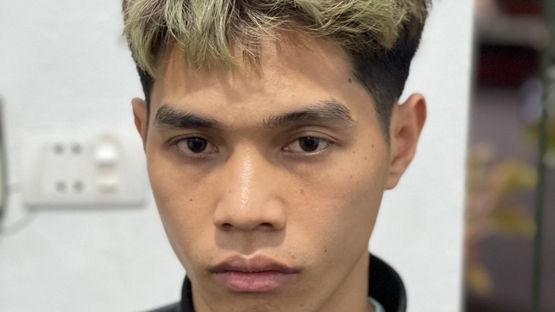 Bắc Giang: Khởi tố đối tượng mua bán chất ma túy Cỏ Mỹ