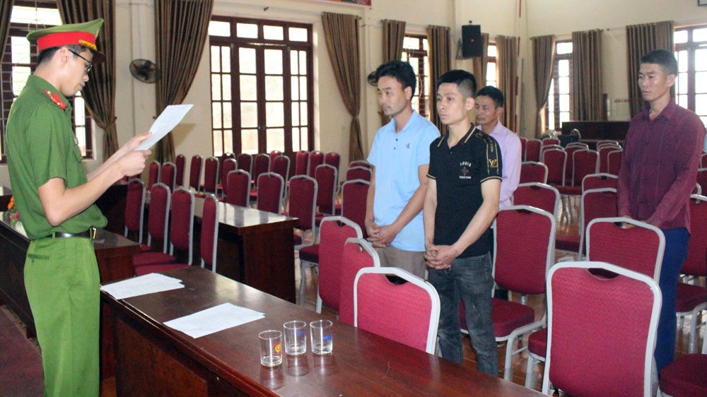 Bắc Giang: Khởi tố, bắt tạm giam các đối tượng khai thác gỗ trái pháp luật tại Sơn Động