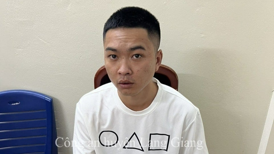 Bắc Giang: Bắt giữ 2 đối tượng lừa đảo chiếm đoạt tài sản