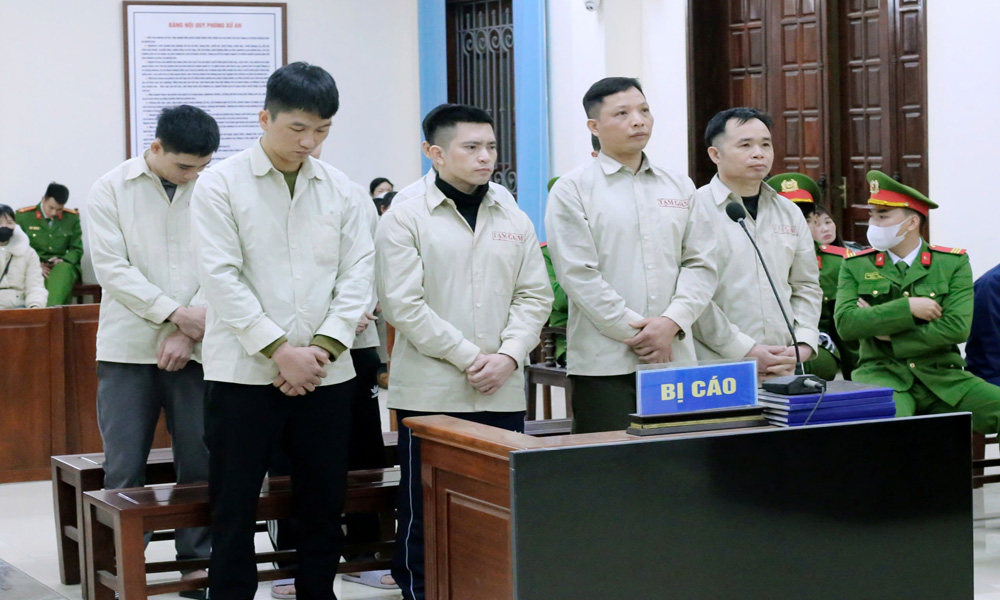 Trộm cắp tài sản công ty, 8 đối tượng lĩnh án tù