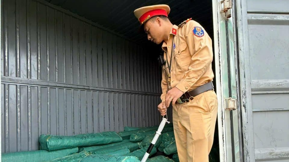 Phát hiện, bắt giữ xe chở lâm sản không rõ nguồn gốc