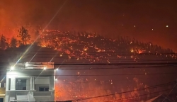 bac giang chay rung tu nhien tai khe ro