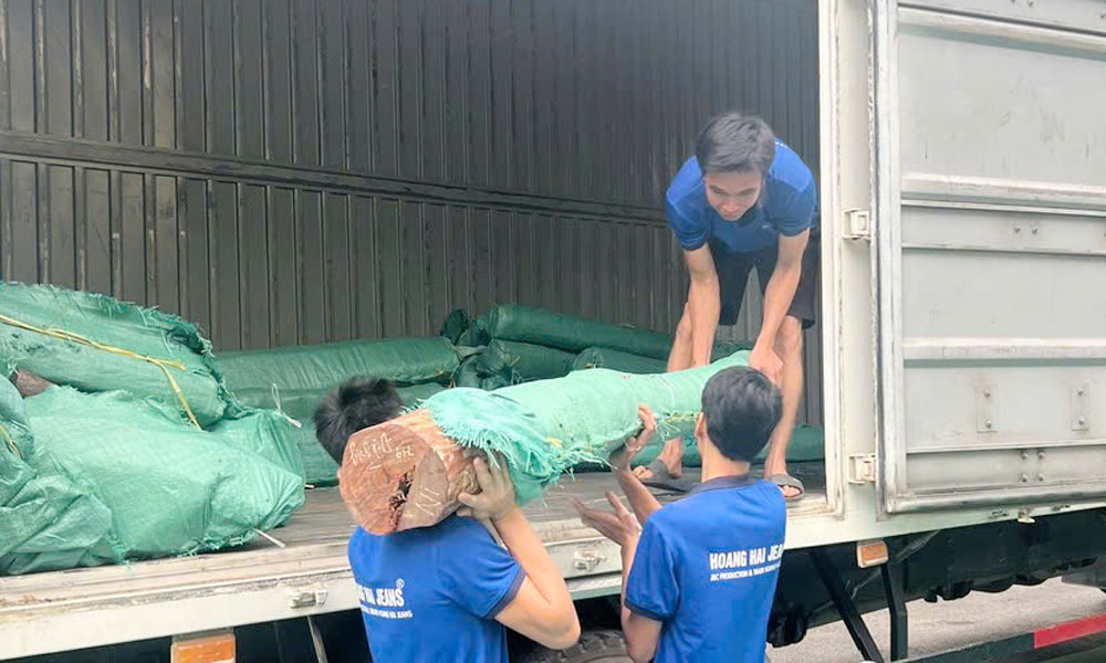 Bắc Giang: Buôn bán gần 2 tấn gỗ trắc, bị phạt 35 triệu đồng