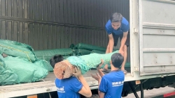 Bắc Giang: Buôn bán gần 2 tấn gỗ trắc, bị phạt 35 triệu đồng