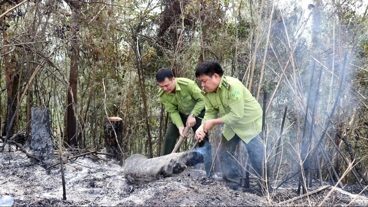 Bắc Giang: Trong 3 ngày liên tiếp xảy ra 18 vụ cháy rừng
