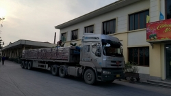 bac giang nha may gach tuynel hoan ha o khong co giay phep moi truong