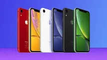 iPhone XR 2019 sẽ có thêm 2 màu mới