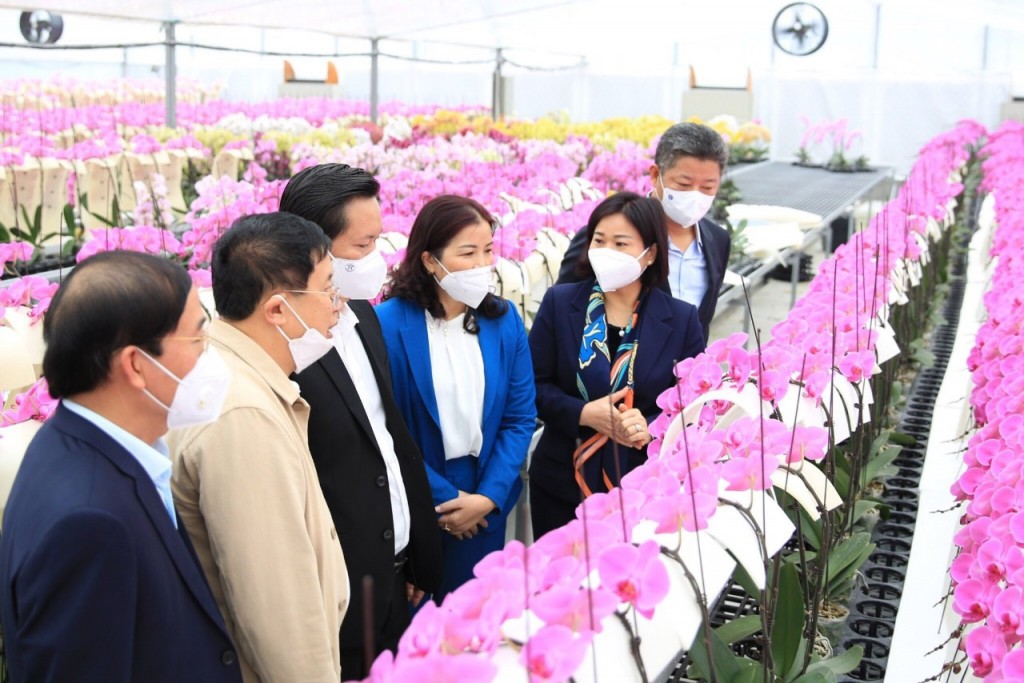 Khơi dậy và phát huy truyền thống văn hiến, anh hùng để hiện thực hóa khát vọng phát triển Thủ đô