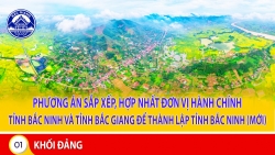 infographic phuong an sap xep hop nhat don vi hanh chinh tinh bac ninh va tinh bac giang de thanh lap tinh bac ninh moi