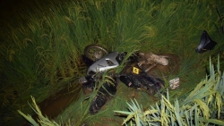 bac giang tai xe oto gay tai nan chet nguoi roi bo tron