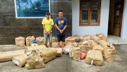 Bắc Giang: 2 anh em tàng trữ, vận chuyển trái phép hơn 700 kg pháo nổ