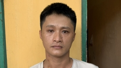 bac giang lua ban go chiem doat 300 trieu dong