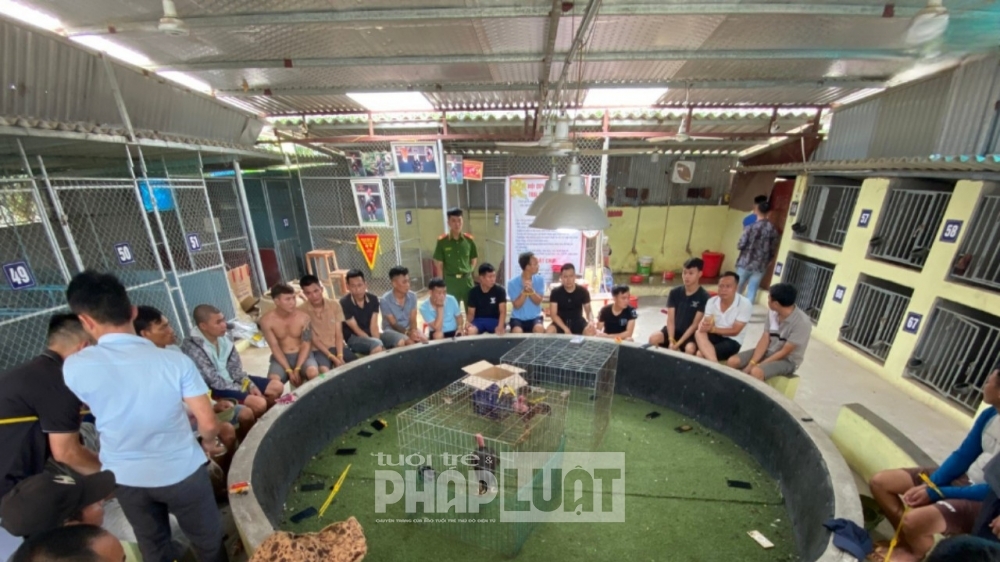 Bắc Giang: Triệt phá tụ điểm Đánh bạc dưới hình thức "Đá gà" bắt giữ 30 đối tượng