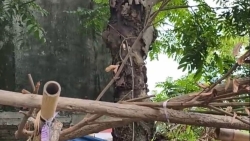 bac giang mot nam gioi tu vong trong tu the treo co