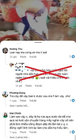 Bắc Giang: Xử lý 2 trường hợp đăng tải thông tin giả, sai sự thật về vải thiều