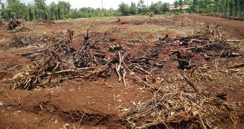 Đắk Lắk: Mạnh tay dẹp dự án phân lô bán nền trái quy định