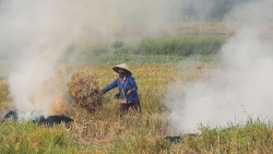 phat den 3 trieu dong doi voi hanh vi dot phu pham nong nghiep canh duong giao thong