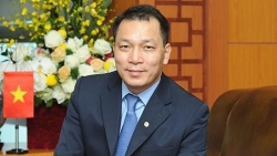 Thứ trưởng Bộ Công thương Đặng Hoàng An được điều động làm Chủ tịch EVN