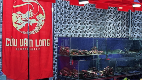 Bị tố đuổi khách sau khi phản ảnh cua có mùi khai, buffet hải sản Cửu Vân Long nói gì?