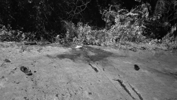 bac ninh dieu tra vu giet nguoi tai phuong van ha