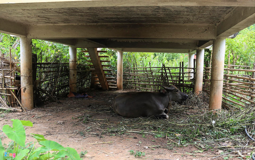 khu tai dinh cu hoang lanh chi 3 ho dan sinh song