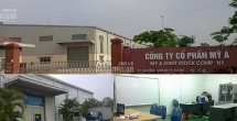 Bức tử môi trường, Công ty cổ phần Mỹ Á lĩnh mức phạt 252 triệu đồng