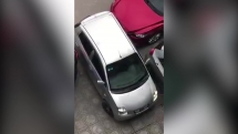 Clip: Pha lùi ô tô đẳng cấp