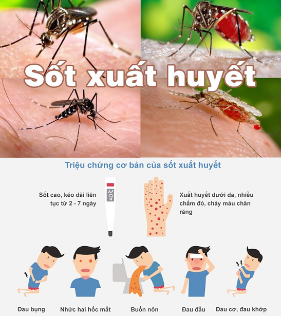 Những loại virus nguy hiểm nhất trong lịch sử nhân loại