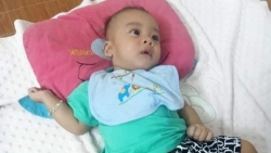 bac giang xe o to con dung lai bo roi chau be roi di tiep