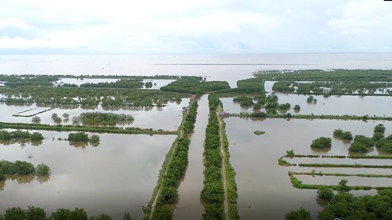 Hải Phòng gia hạn sử dụng đất 24 tháng đối với khu đầm nuôi trồng thuỷ sản hơn 300ha