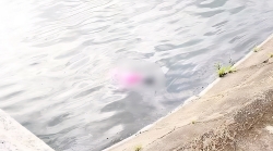 phat hien thi the be gai noi tren mat ho o bac ninh