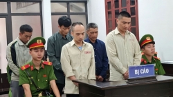 ghen tuong mu quang ca gia dinh cung vuong vong lao ly vi cuop tai san