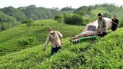 nang cao muc song va thu nhap cua nguoi dan vung dong bao dan toc thieu so