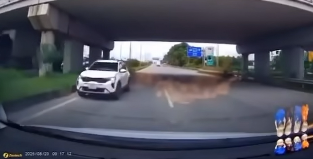 Ảnh cắt từ clip Ảnh cắt từ clip