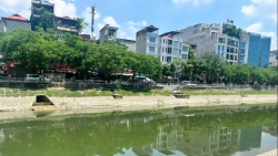 Những tín hiệu tích cực từ dự án cải tạo, làm sạch dòng Tô Lịch
