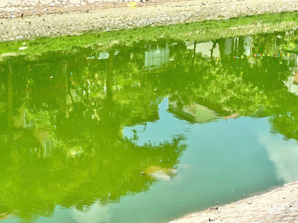 Sông Tô Lịch đã trong xanh trở lại sau khi được cải tạo, bổ cập nước từ Hồ Tây. Ảnh chụp chiều ngày 5/9/2025. Sông Tô Lịch đã trong xanh trở lại sau khi được cải tạo, bổ cập nước từ Hồ Tây. Ảnh chụp chiều ngày 5/9/2025.