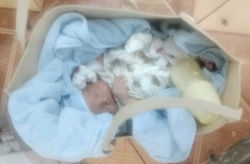 tim nguoi than cho be trai bi bo roi tai hiep hoa bac ninh