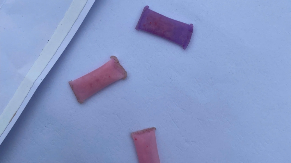 Bắc Ninh: Bắt quả tang đối tượng tàng trữ ma túy trên Quốc lộ 279