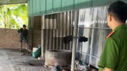 bac ninh cong an xu ly co so co duc nhom trai phep tai yen phong