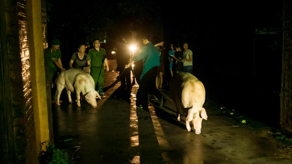 Bắc Ninh: Tràn đê bối Tiên Lục, 61/61 thôn bị ngập úng nghiêm trọng