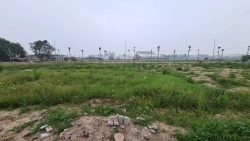 Bắc Ninh: Chính quyền cảnh báo tình trạng đất chưa đấu giá đã xuất hiện giao dịch ngầm