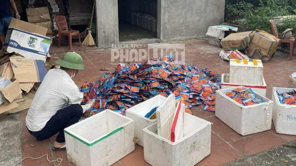 Xử phạt vi phạm hành chính trong lĩnh vực bảo vệ và kiểm dịch thực vật