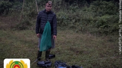 bac ninh bat qua tang doi tuong san bat chim trai phep