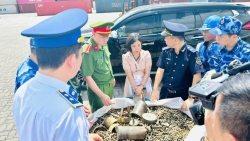 phat hien hon 25 tan dan vo dan quan dung nhap khau qua cang dinh vu