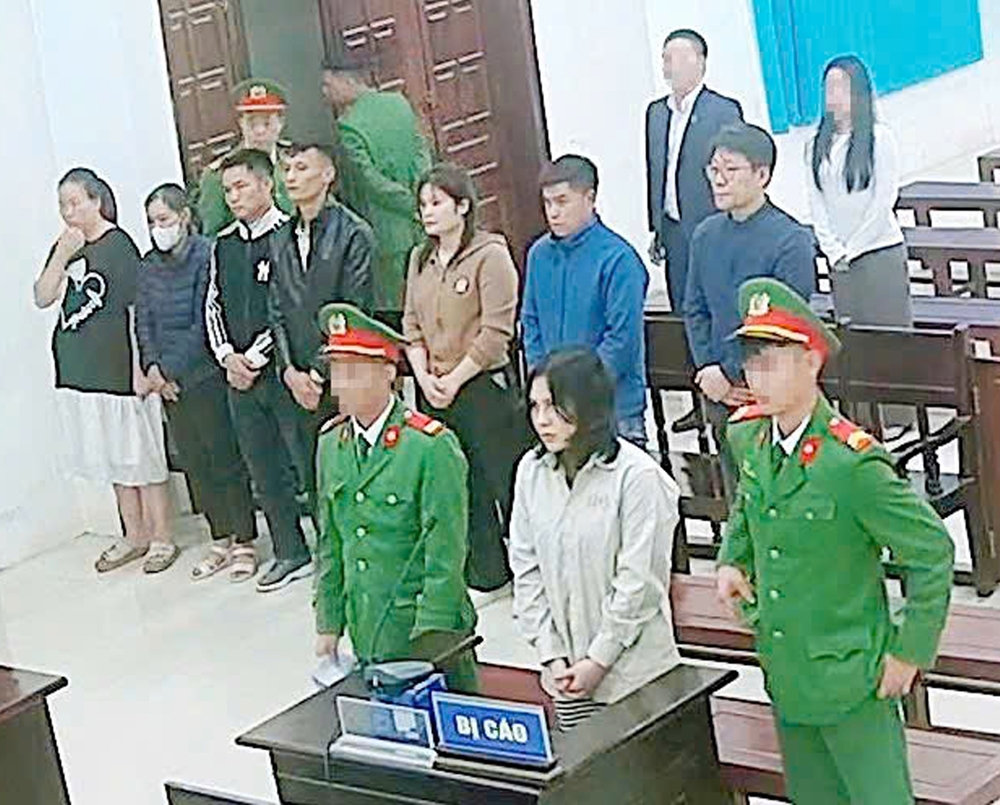 Lập hóa đơn khống chiếm đoạt gần 12,5 tỷ, nữ nhân viên lãnh án 20 năm 6 tháng